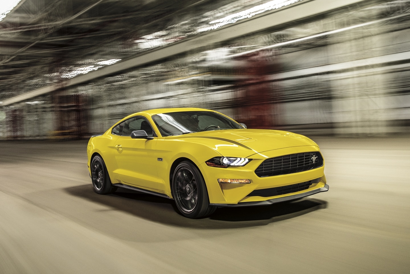 The Ford Mustang Family The Sound Of A Stampede