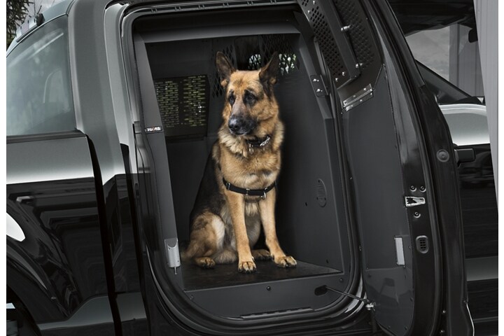 A police dog inside a k 9 outfitted twenty twenty one ford f one fifty special service vehicle