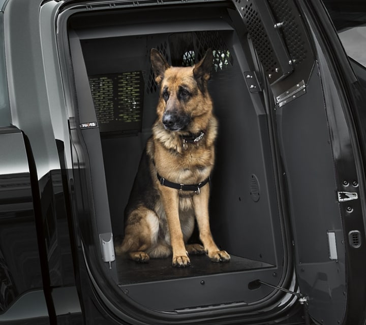 A police dog inside a k 9 outfitted twenty twenty one ford f one fifty special service vehicle