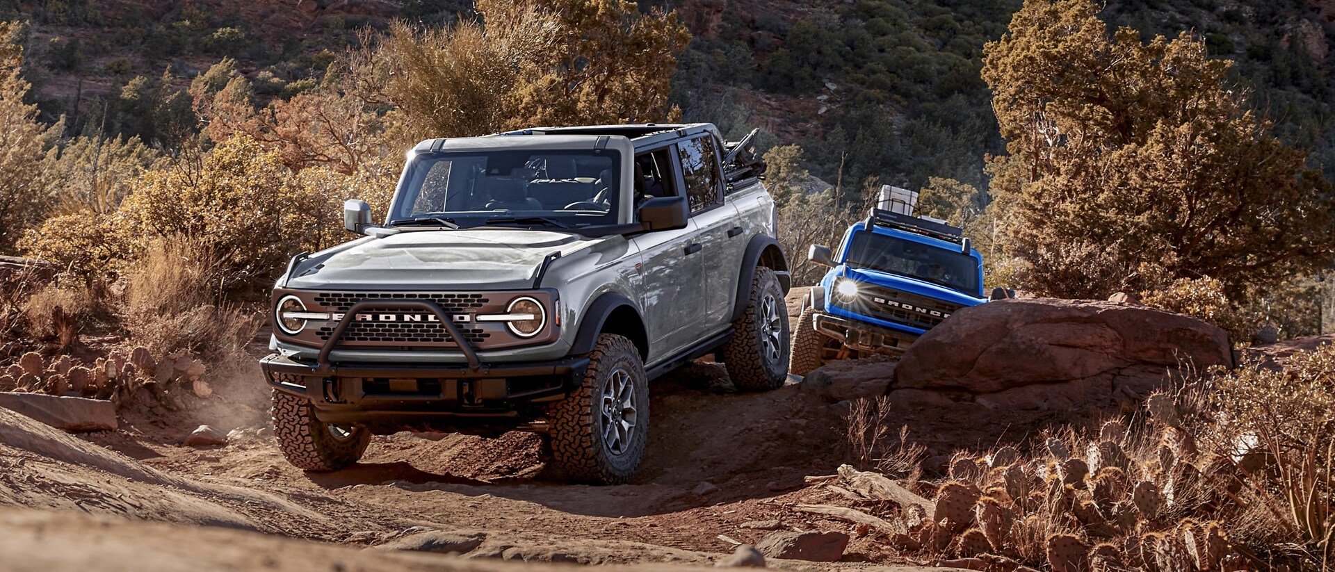 What Does Ford's Built Wild Mean?