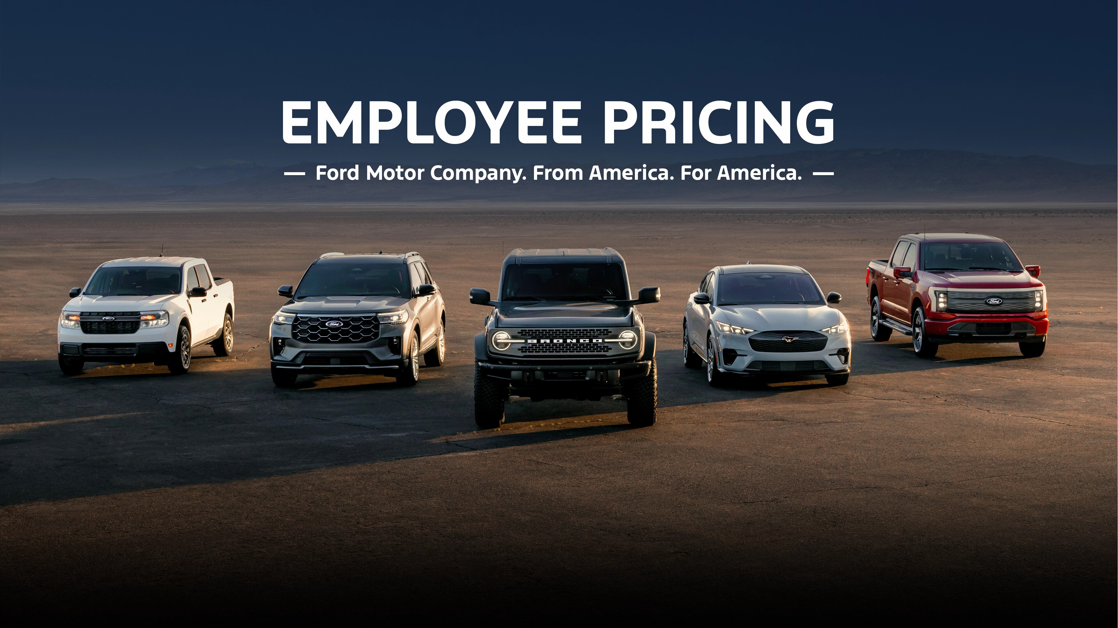 A line up of Ford vehicles