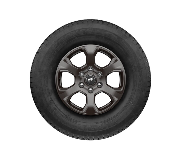 Ruedas de aluminio de 17” pintadas en Carbonized Gray