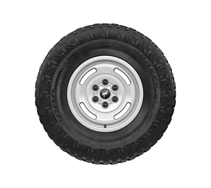 Ruedas de 17” con bloqueo de talón y neumáticos LT315/70R17 BSW de 35” para terreno fangoso