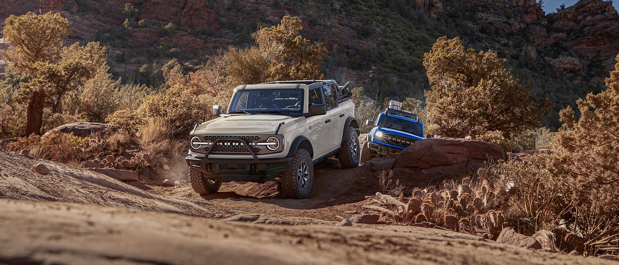 2025 Ford Bronco Capability