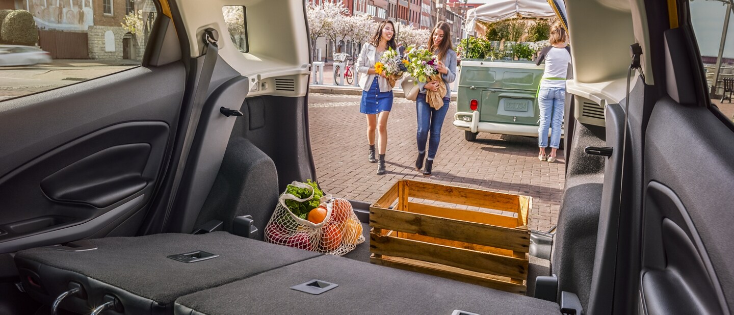 Two women loading flowers into a 2022 Ford EcoSport® with rear seats folded down as seen through open rear swing gate