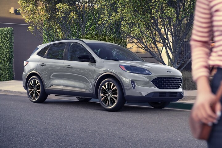 Used Ford SUVs