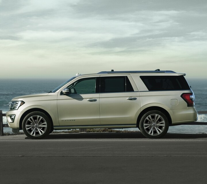 2021 Ford Expedition Platinum in Star White Metallic Tri Coat parked by scenic view