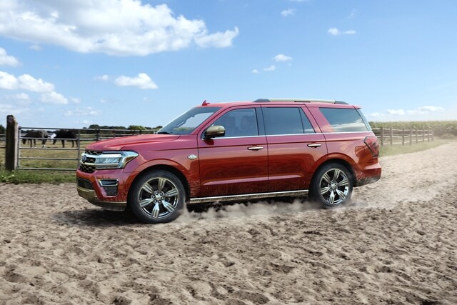Una Ford Expedition 2023 en un sendero todoterreno de arena y tierra
