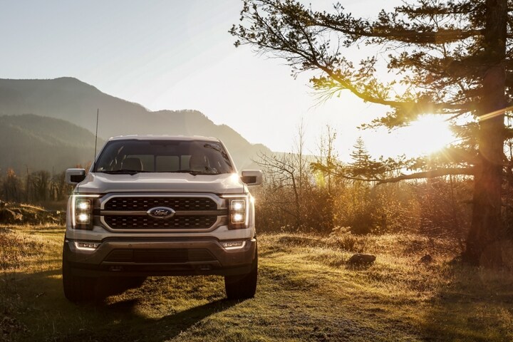 2021 Ford F 150 Truck Gallery