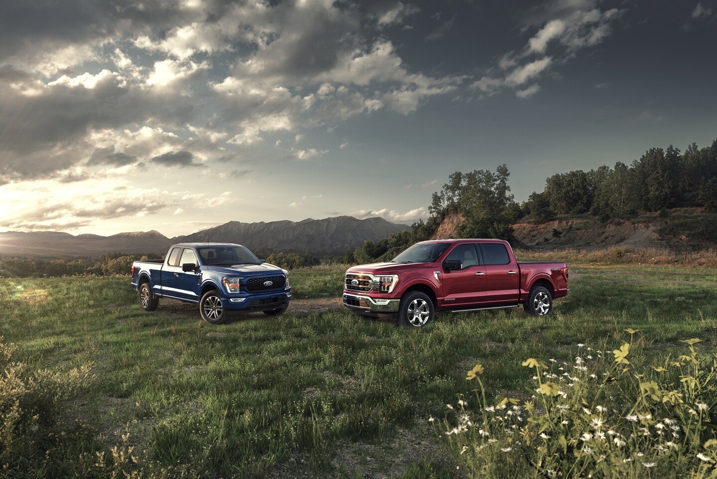 How many different trim levels does the Ford F-150 have?