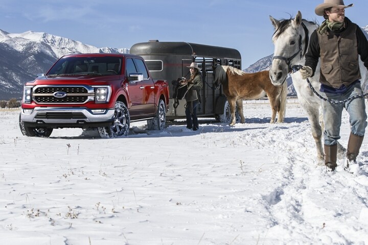 Two people unloading horses from a trailer attached to a 2023 Ford F-150® King Ranch®