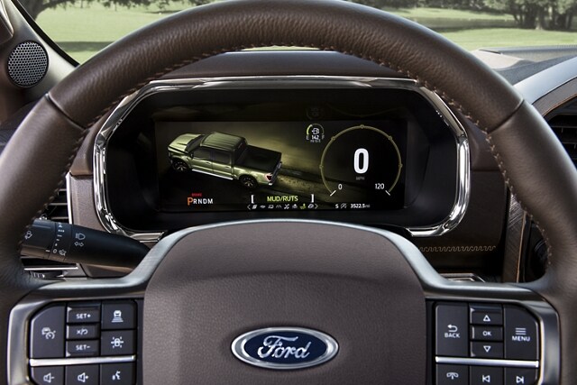 Image of selectable drive mode mud/rut mode graphic