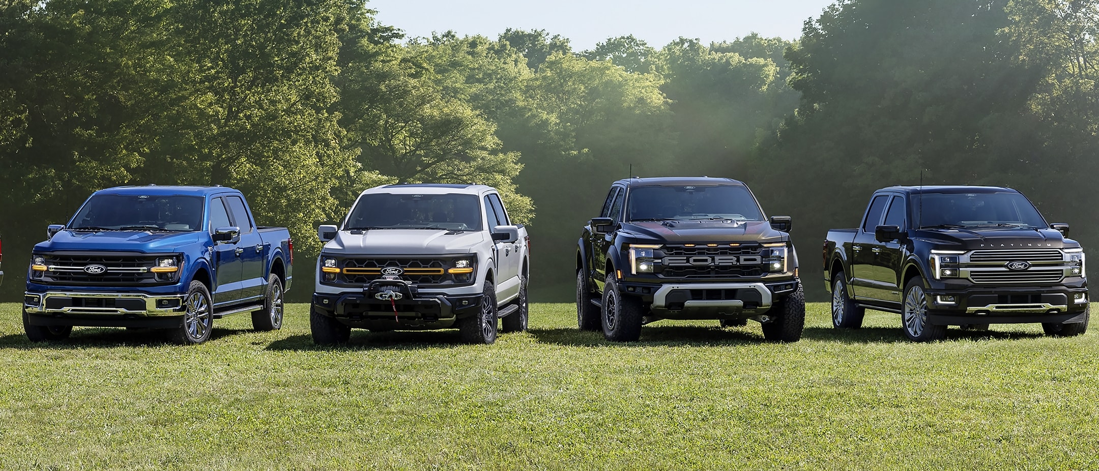  left Blue; F-150, left center; silver F-150 XL with tow hitch, right center; Black Ford 150 raptor, right; black platinum 5.5 F-150 pickup trucks 