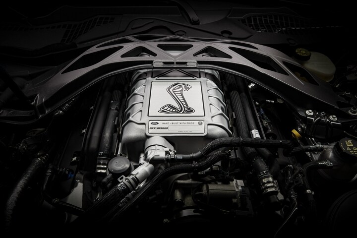 2020 gt500 performance packages sale