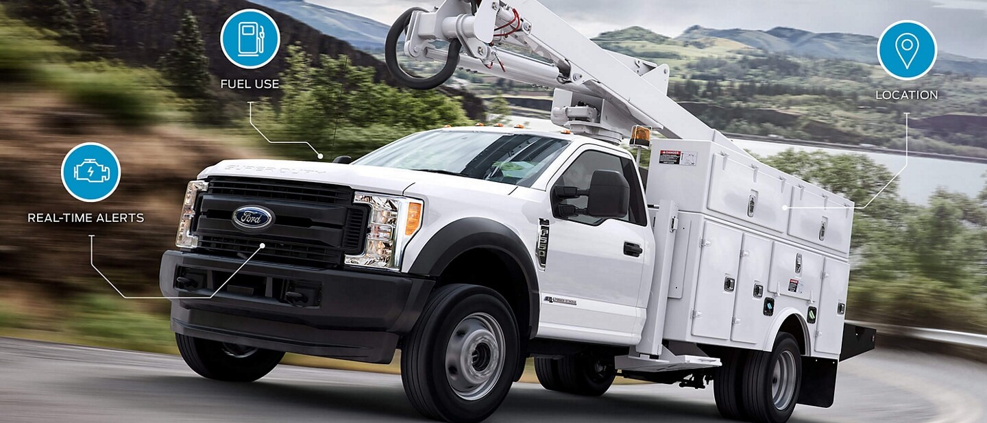 Sudamerika Schlagen Bett Ford F 1050 Amazon Halb Acht Freundlich Karotte
