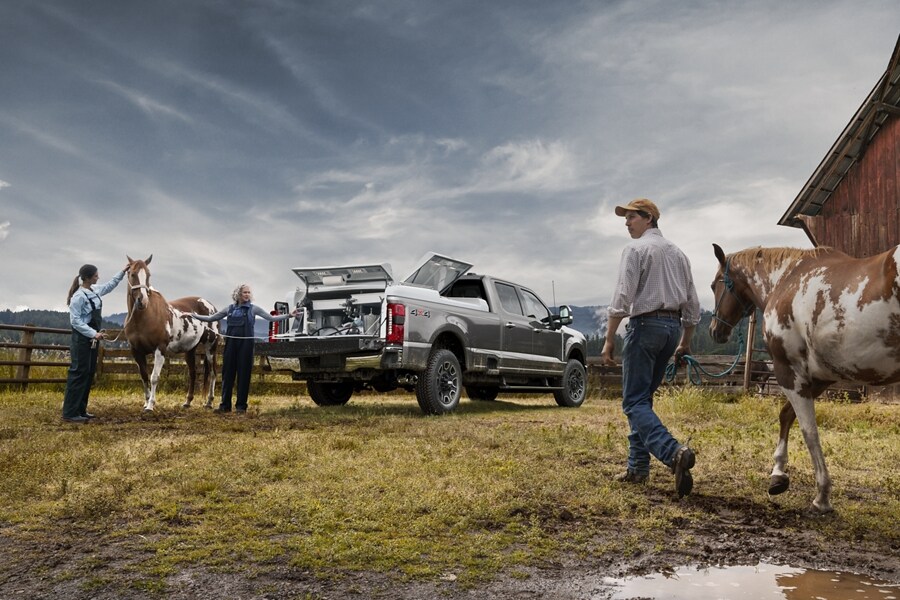 The Block 2022 Ford Fleet Graphics