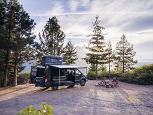 ford 13 passenger van