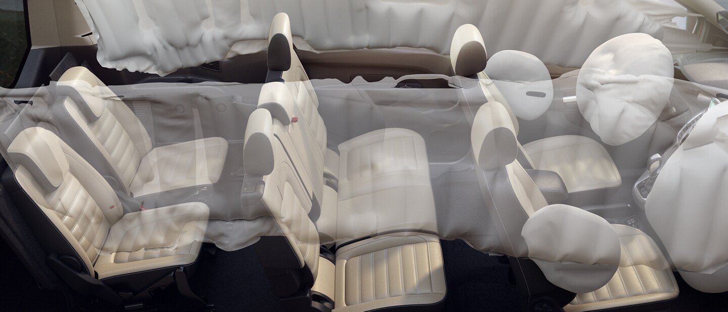 Una representación del Sistema Safety Canopy®