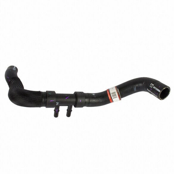 Radiator Coolant Hose - Lower Main Image