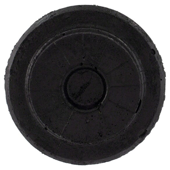 486002.jpg