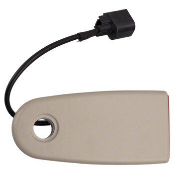 Seat Belt Receptacle - Left, Rear