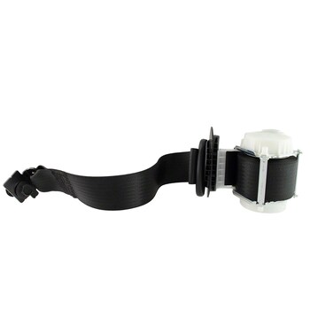 Seat Belt - Left, Rear