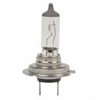 Headlight Bulb Main Image