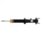 Suspension Strut - Front Main Image
