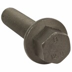 253004.jpg