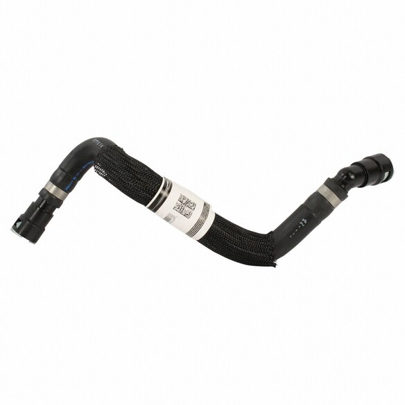 Radiator Coolant Hose - Front, Lower Main Image