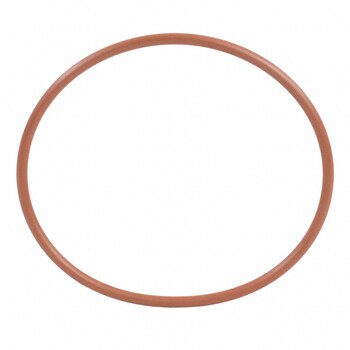 Fuel Filter Element Seal O Ring - 3.2L