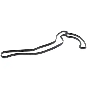 Engine Timing Cover Gasket - Inner