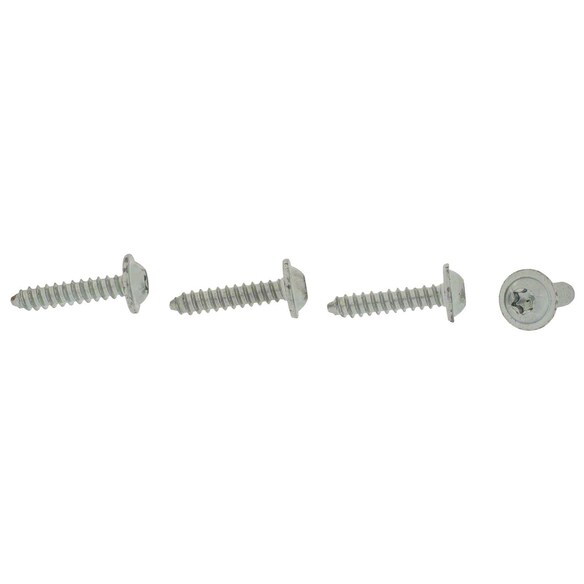 Interior Grab Bar Screw Main Image