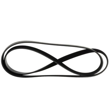 Serpentine Belt