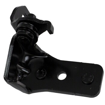 Door Hinge - Right, Rear, Lower