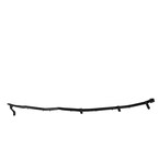 Door Shell Seal Weatherstrip - Right, Rear Main Image