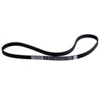 Serpentine Belt - 5.0L Main Image