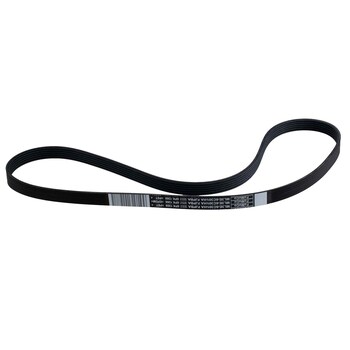 Serpentine Belt - 5.0L