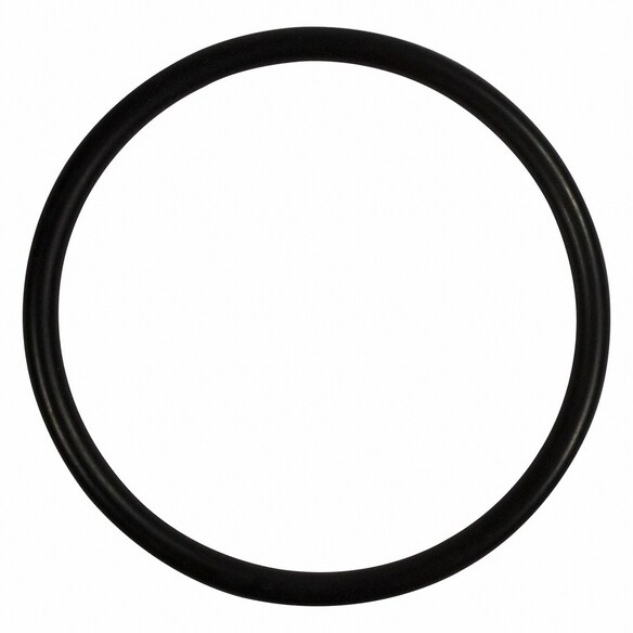 Engine Coolant Thermostat Gasket O Ring Main Image