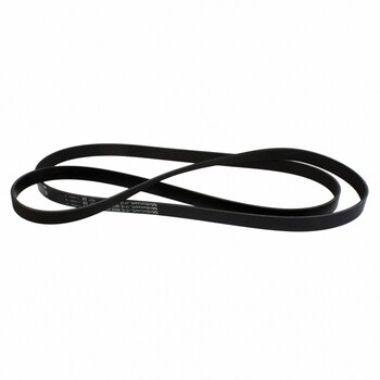 Serpentine Belt