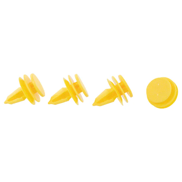 431017.jpg