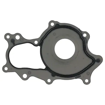 Engine Water Pump Gasket ing Plate - Back 3.3L