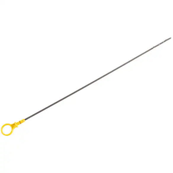 495017.jpg