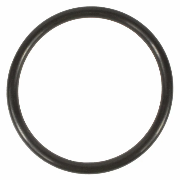 Engine Coolant Thermostat Housing Gasket O Ring Main Image