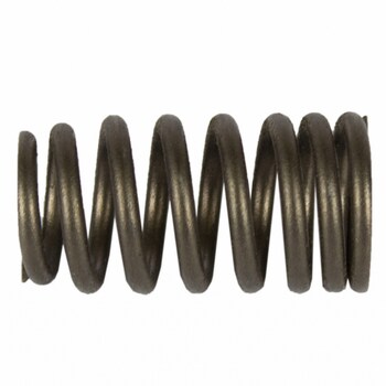 Engine Valve Spring