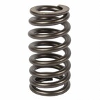 Engine Valve Spring Main Image