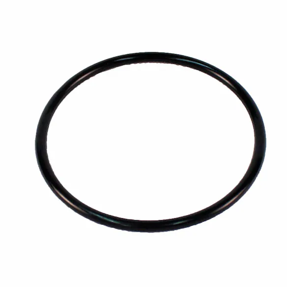 Engine Water Pump O Ring Pipe Gasket - Outlet Main Image