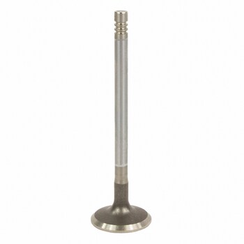 Engine Intake Valve - Inlet 3.0L