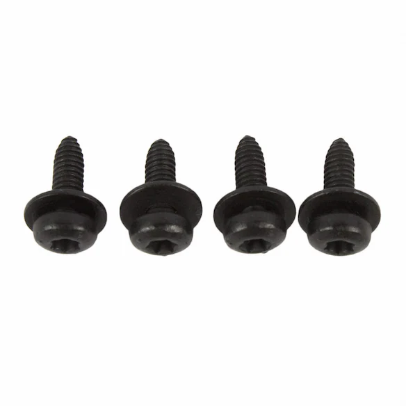 Bezel Screw Super Cab - M4 x 12MM Main Image