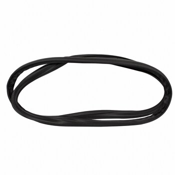 Weatherstrip on body - Left, Rear